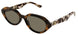 004 - Havana/Brown - Brown