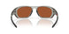 943107 - Grey - Prizm Shallow Water Polarized
