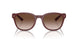 610113 - Red - Gradient Brown