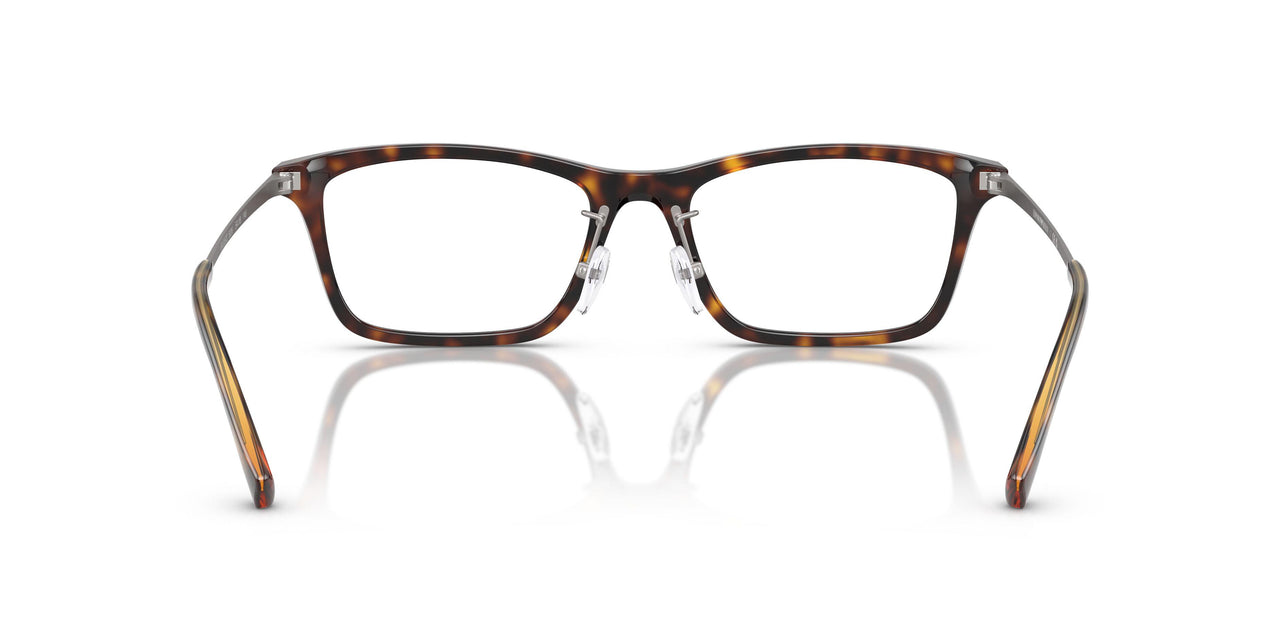 5026 - Tortoise