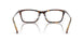 5026 - Tortoise