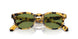 170152 - Black - Green C