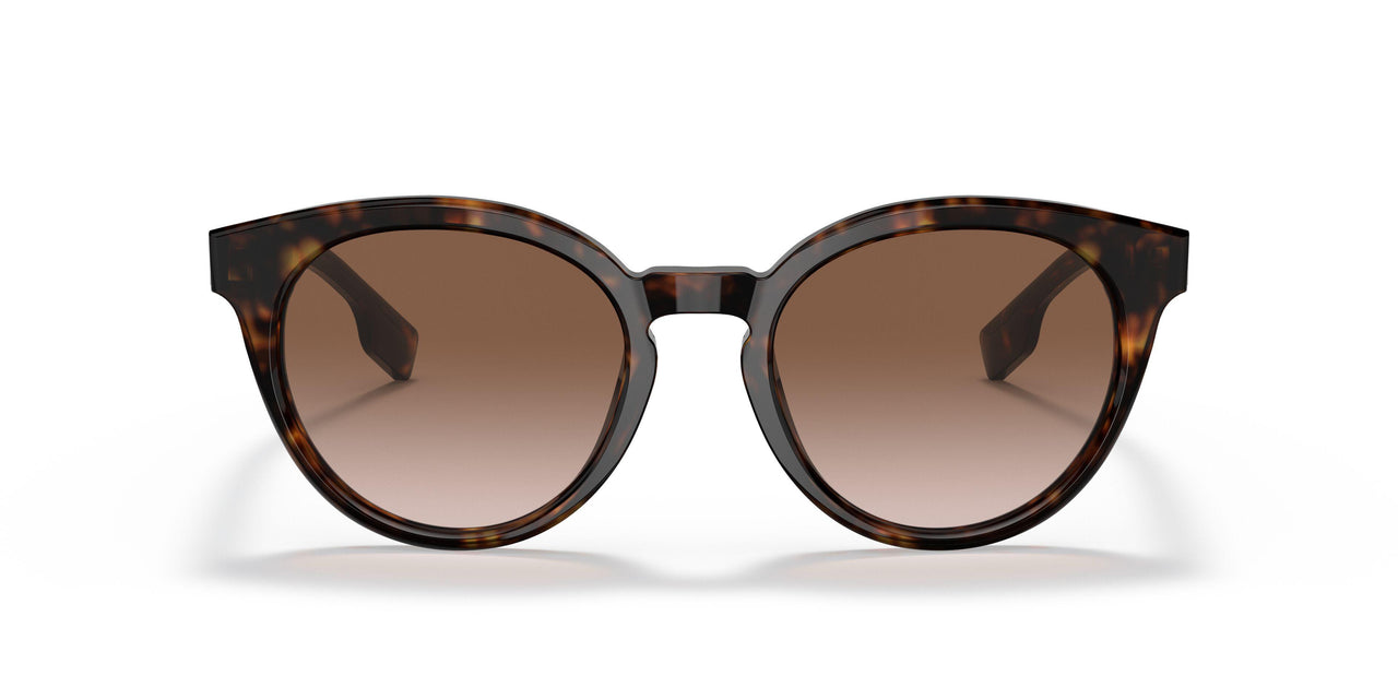 300213 - Havana - Brown Gradient