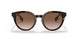 300213 - Havana - Brown Gradient