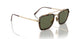 801358 - Gold - Green Polar