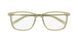 008 - Green/Gold - Transparent
