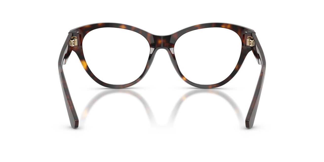 3002 - Brown