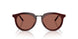 6466H2 - Red - Brown