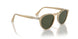 116931 - Brown - Green