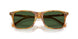618571 - Tortoise - Bottle Green