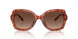 5774T5 - Tortoise - Brown Gradient Polarized