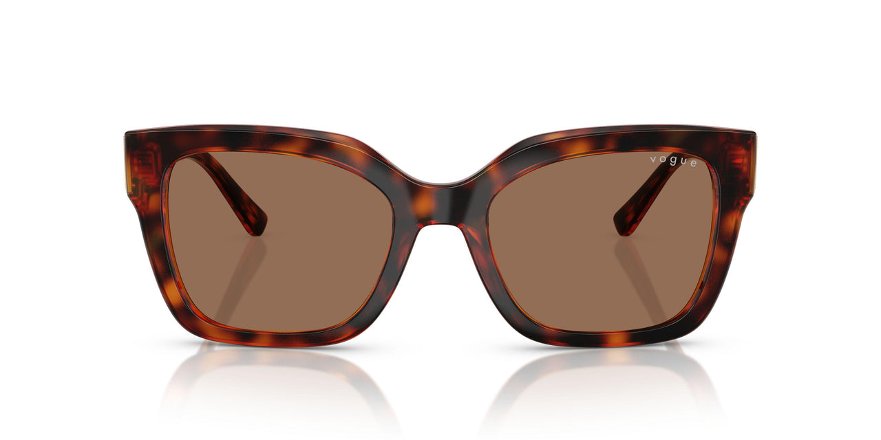 W65673 - Brown - Dark Brown