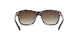 910/13 - Black - Brown Gradient