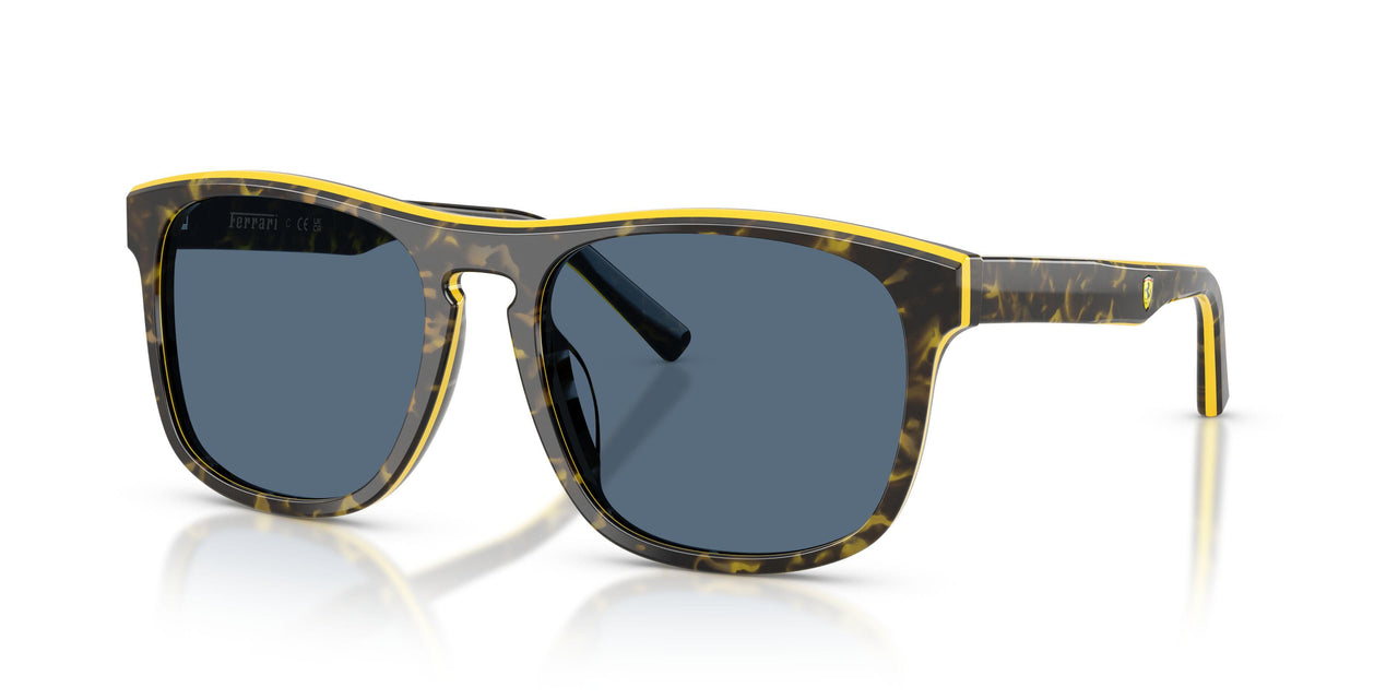 743/80 - Tortoise - Dark Blue