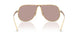 5AK20I - Gold - Light Purple Brown