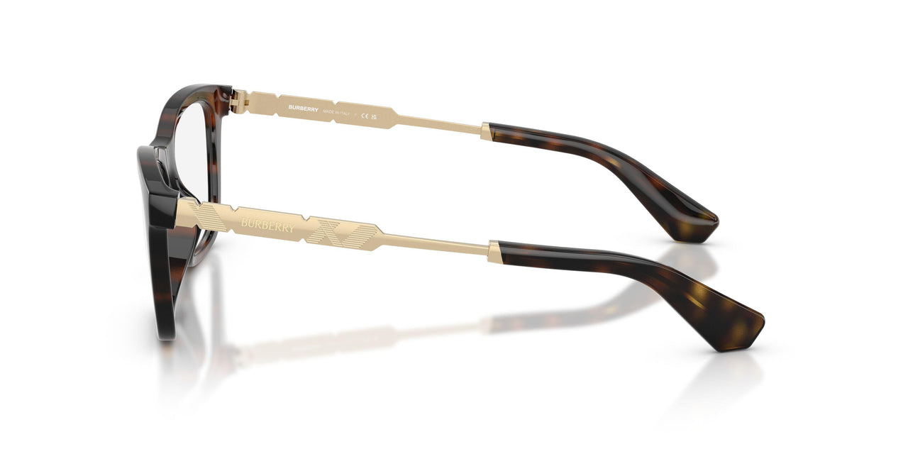 3002 - Brown