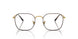 3177 - Tortoise - Clear