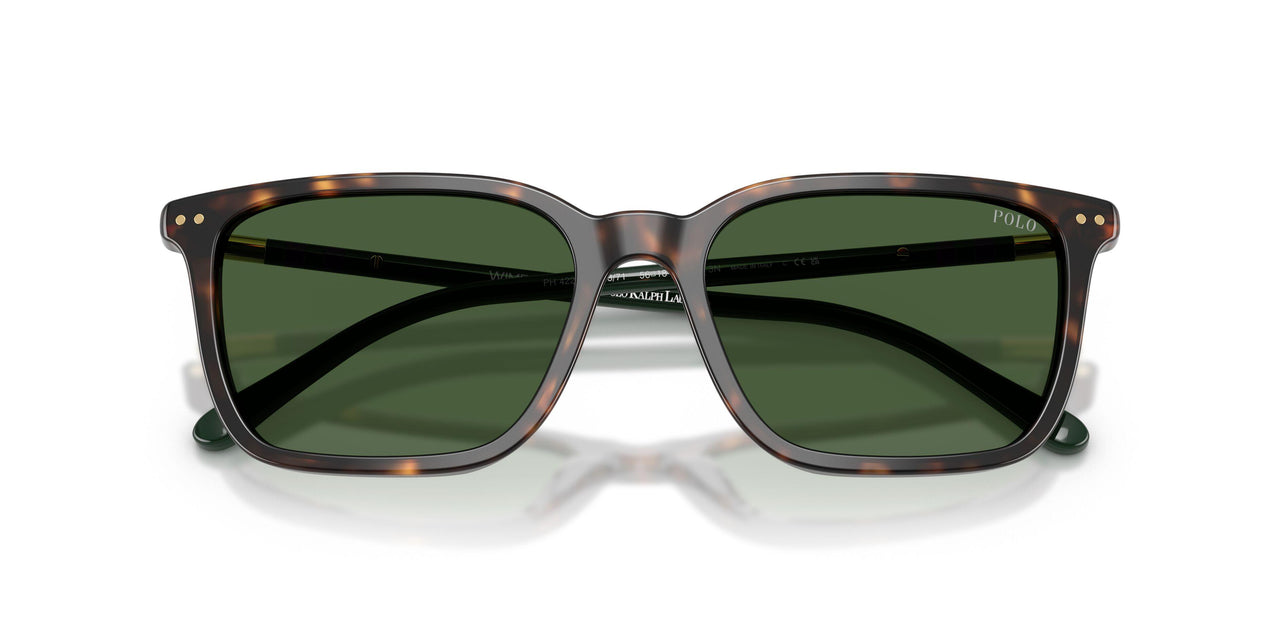567371 - Tortoise - Bottle Green