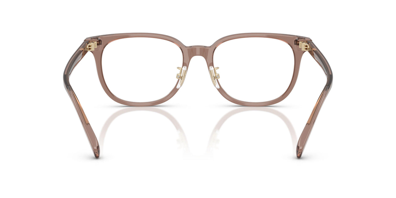 5819 - Brown