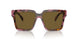 18N01T - Brown - Dark Brown