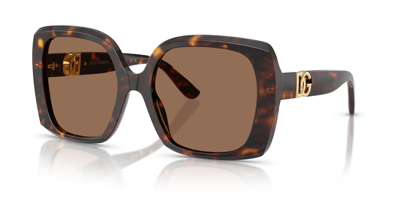502/73 - Tortoise - Dark Brown