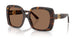 502/73 - Tortoise - Dark Brown