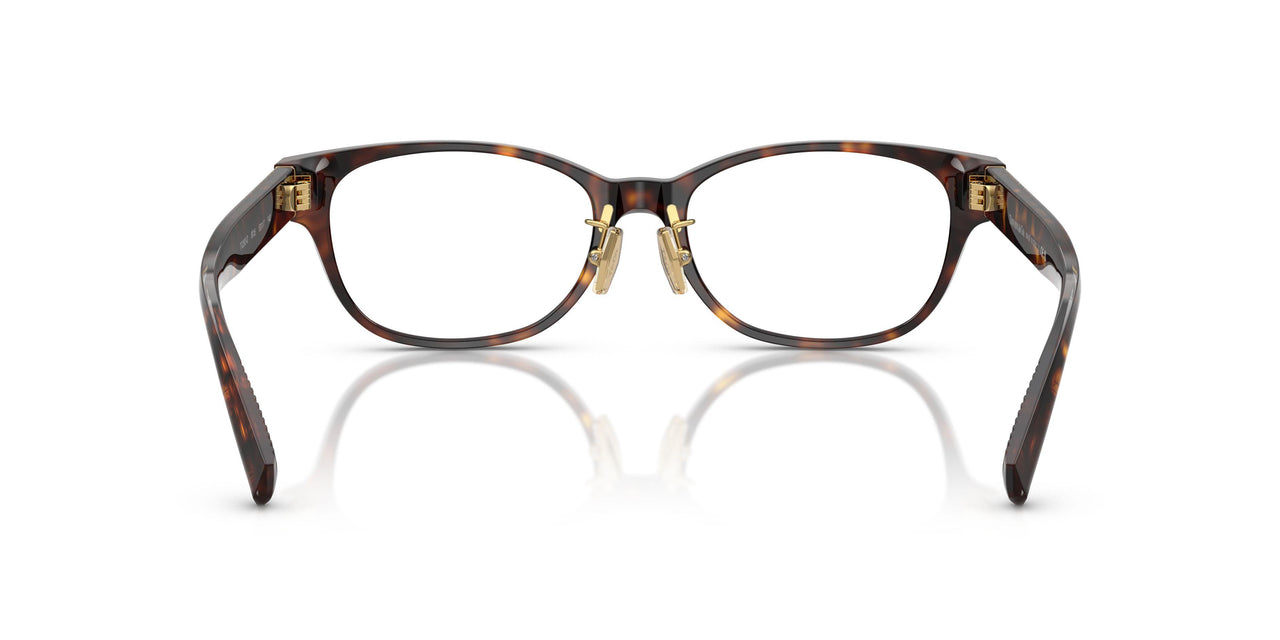 8015 - Tortoise