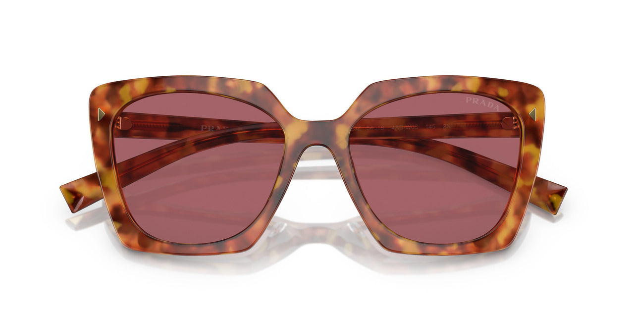 4BW08S - Tortoise - Dark Violet