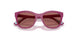 321169 - Violet - Dark Violet