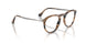 1236 - Brown