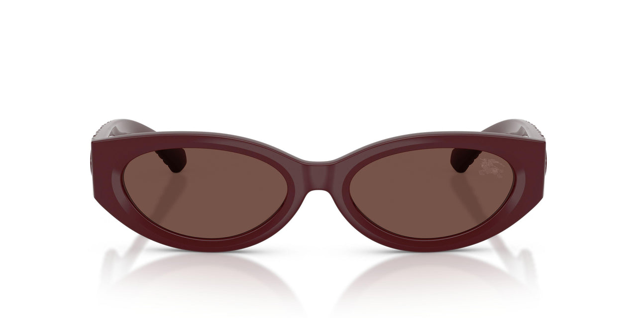 425973 - Red - Black Chocolate