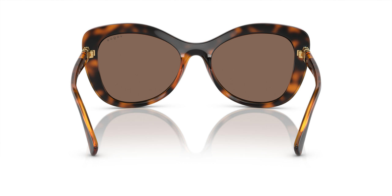 W65673 - Brown - Dark Brown