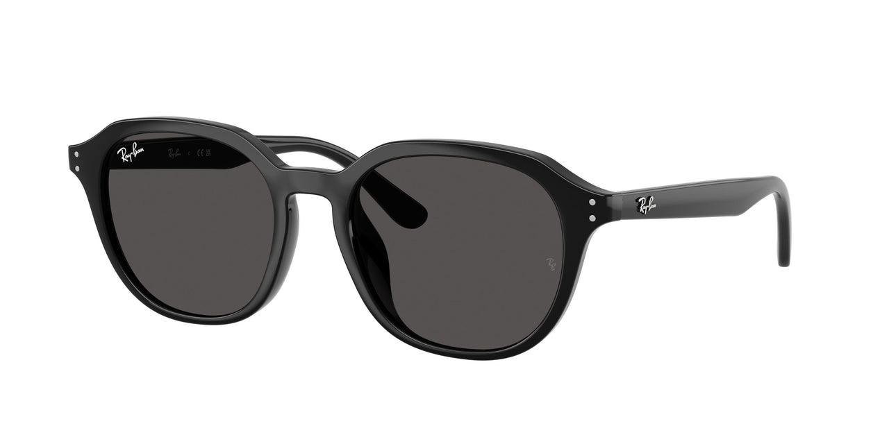 Ray-Ban 4459D Sunglasses