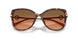 403118 - Tortoise - Orange Gradient Light Grey