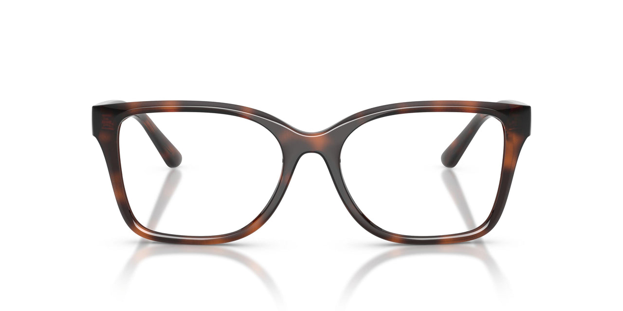 6241 - Tortoise