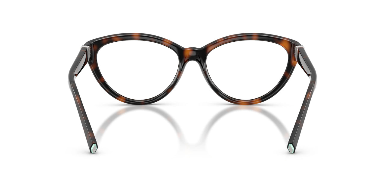 8015 - Tortoise