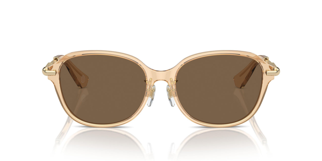 406373 - Brown - Dark Brown