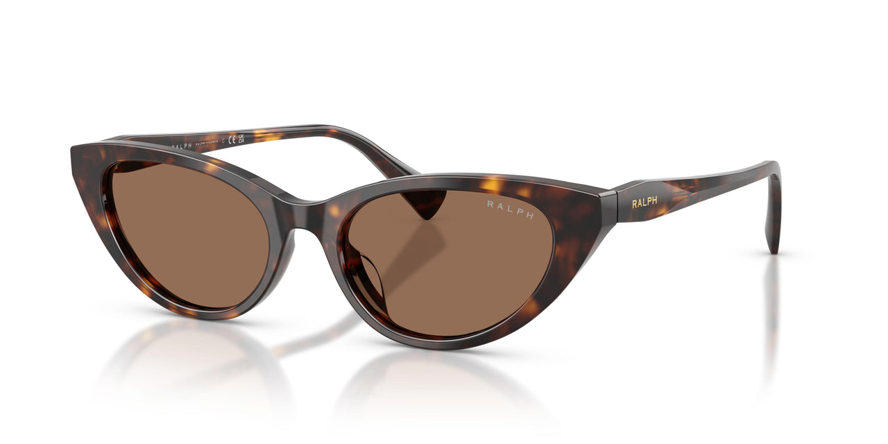 500373 - Tortoise - Brown