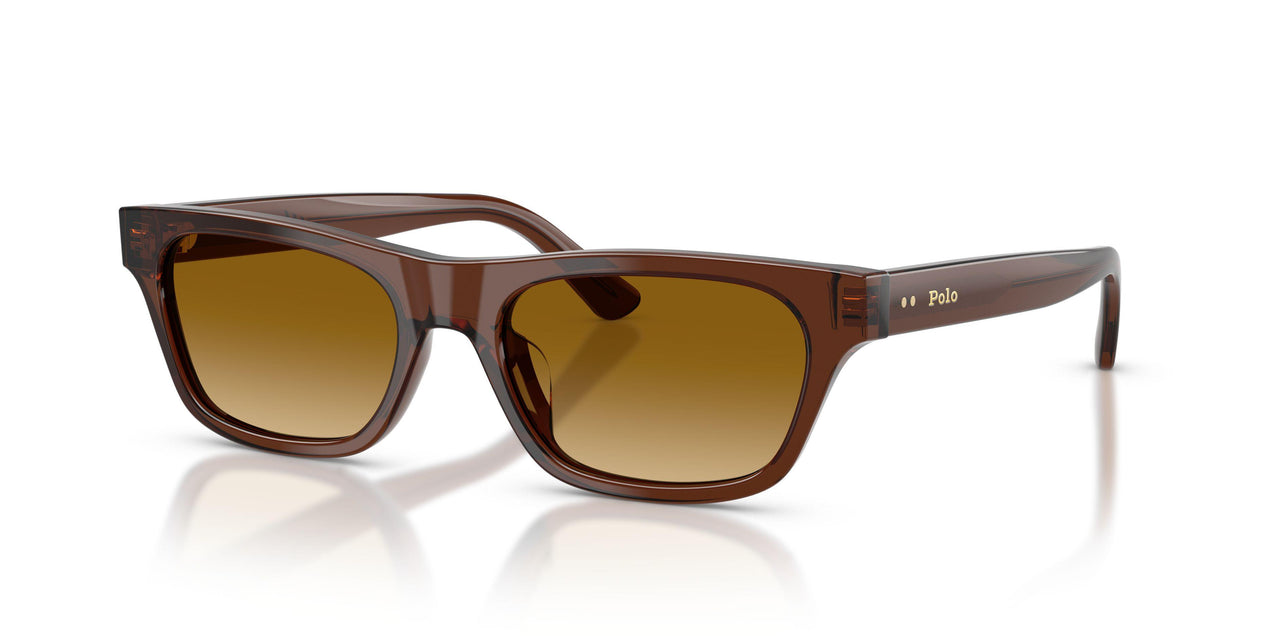 63532L - Brown - Light Yellow Gradient