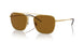 925083 - Gold - Dark Brown Polar