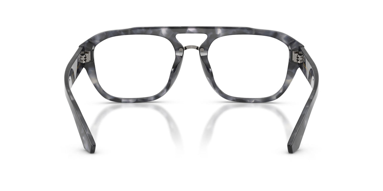 3445 - Tortoise