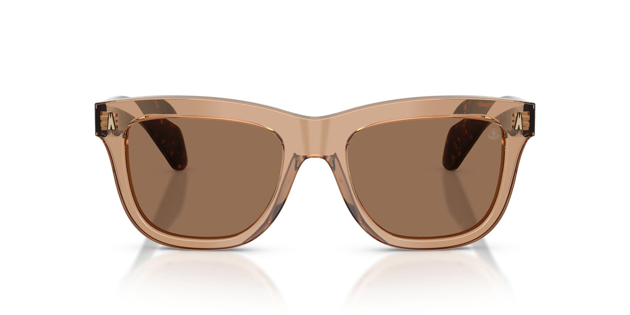 303773 - Brown - Dark Brown