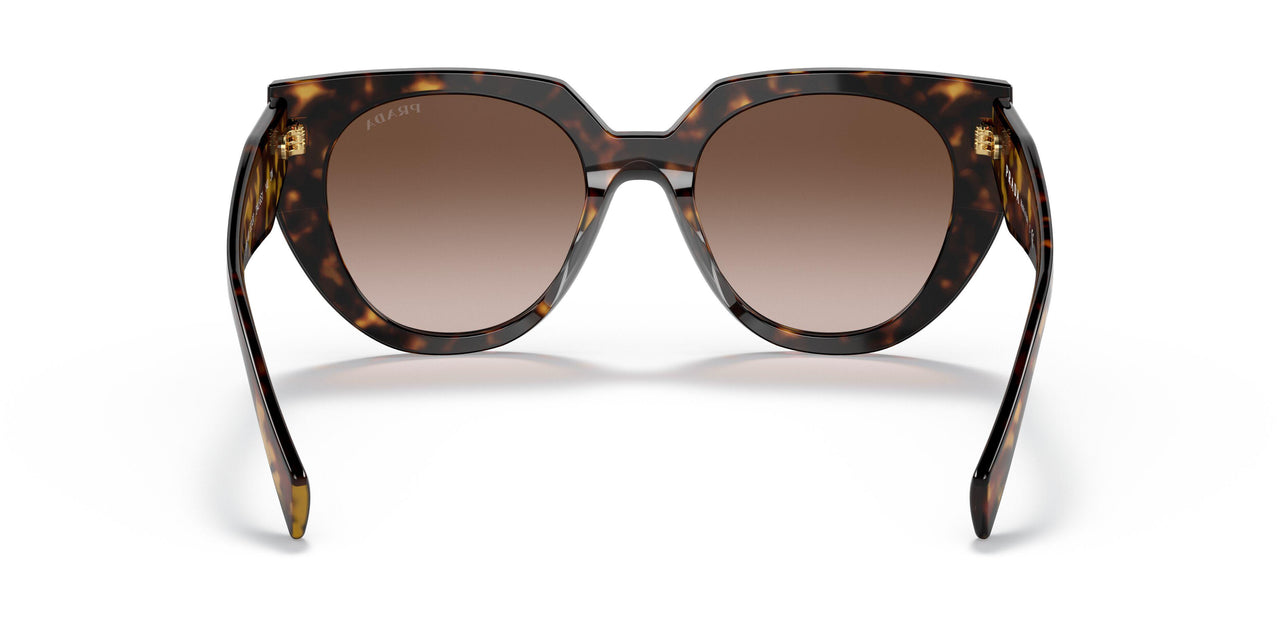 2AU6S1 - Havana - Brown Gradient