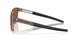 943004 - Brown - Prizm Tungsten Polarized