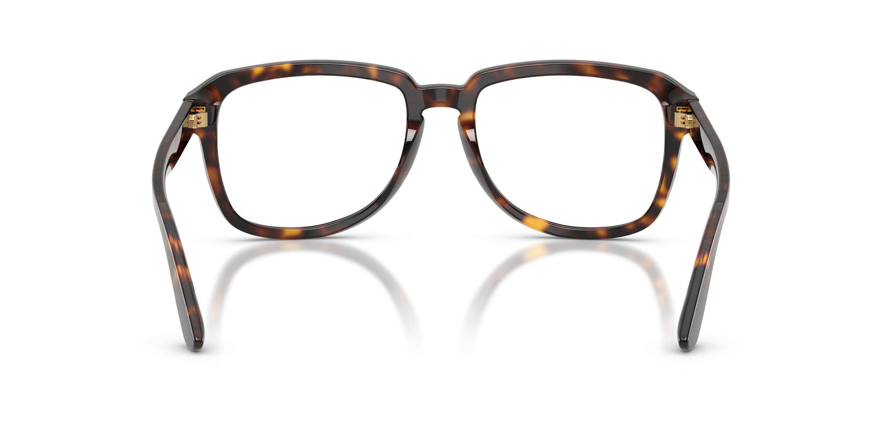 502/SB - Tortoise - Clear Blue Light Filter