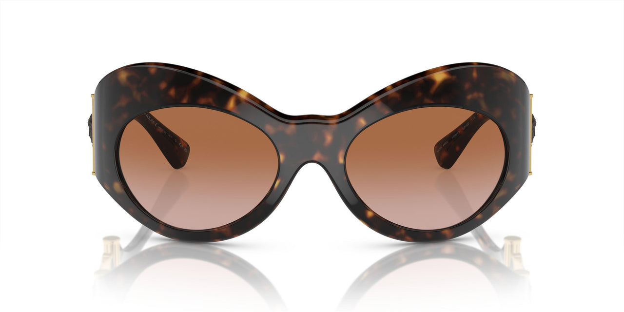 108/13 - Tortoise - Brown Gradient
