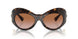 108/13 - Tortoise - Brown Gradient