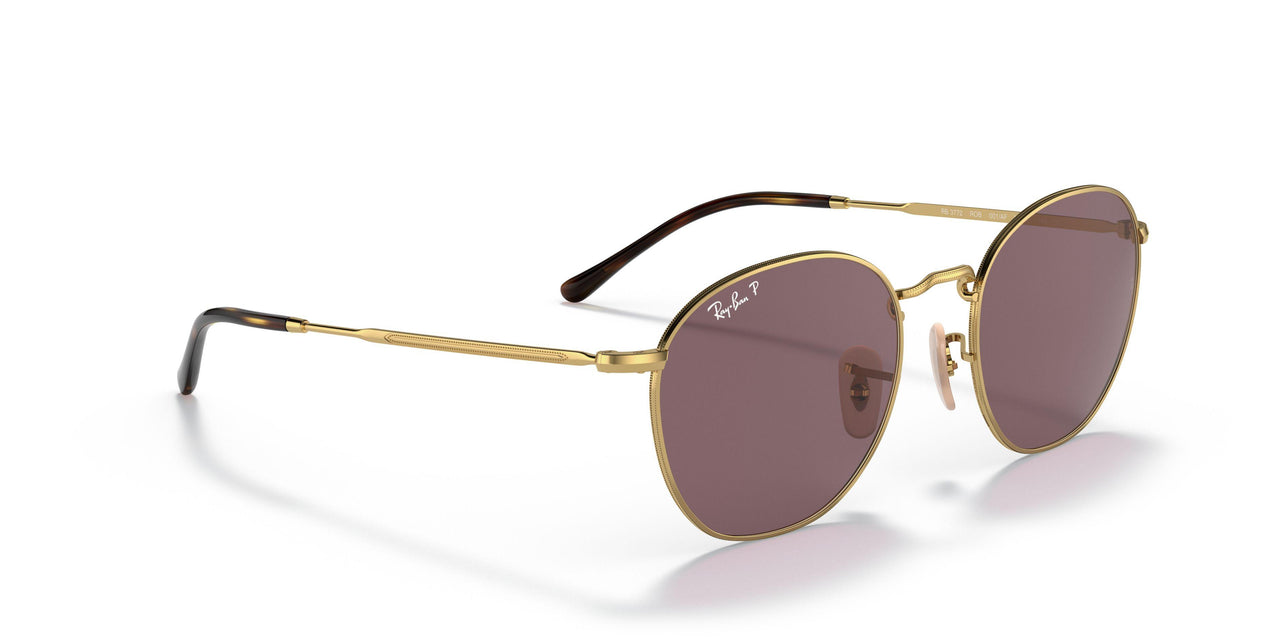 001/AF - Gold - Dark Violet Polar