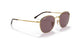 001/AF - Gold - Dark Violet Polar