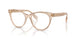 1954 - Brown